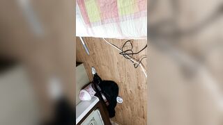 美女圖鑑 真實情侶 絕美女友 口交啪啪福利合集-10