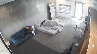 【破解攝影機】極品情侶瘋狂做愛 一天做愛四次 -29